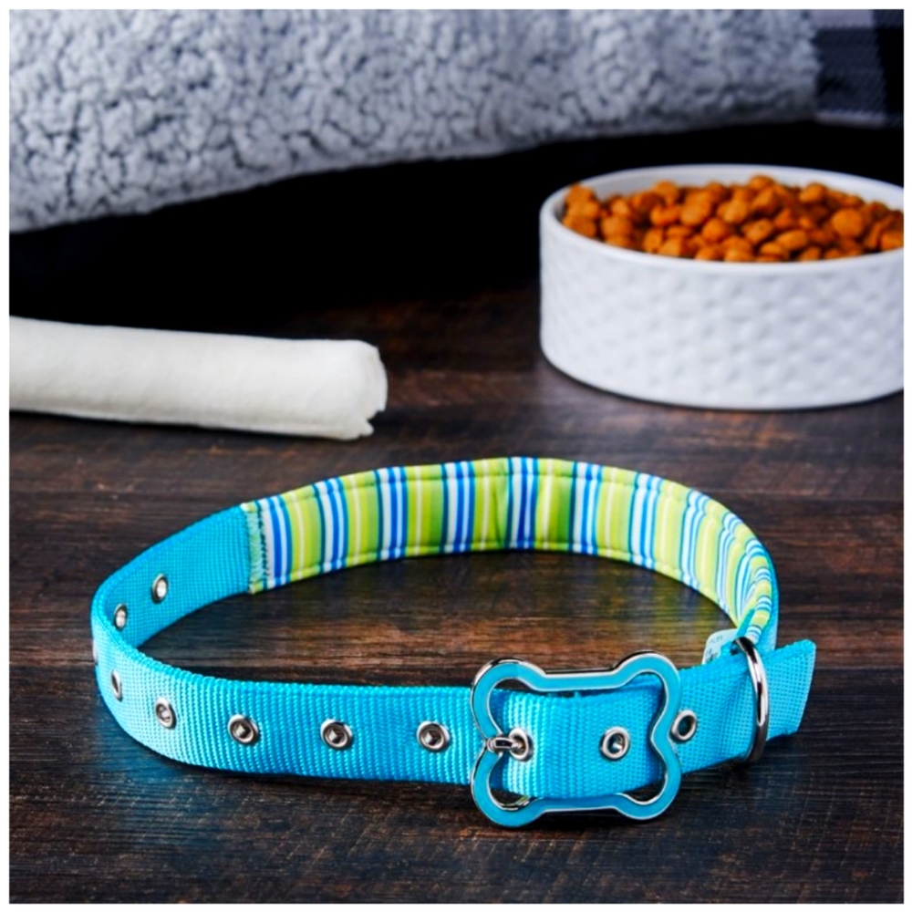 ADD ON Vibrant life comfort padded large 16-26" teal striped dog collar